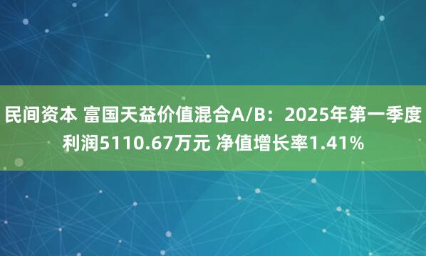 民间资本 富国天益价值混合A/B：2025年第一季度利润5110.67万元 净值增长率1.41%