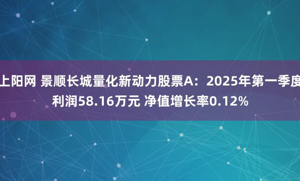 上阳网 景顺长城量化新动力股票A：2025年第一季度利润58.16万元 净值增长率0.12%