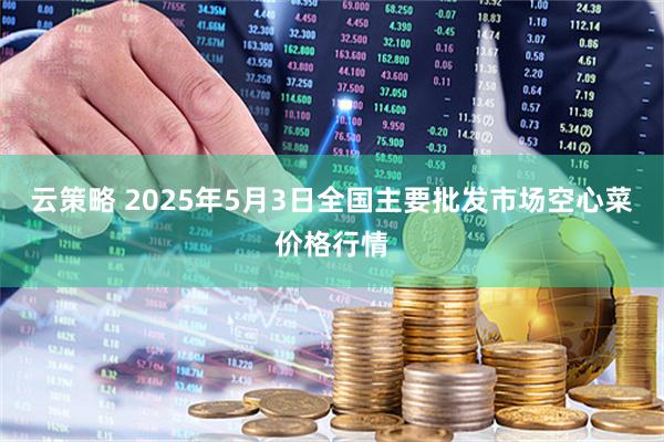 云策略 2025年5月3日全国主要批发市场空心菜价格行情