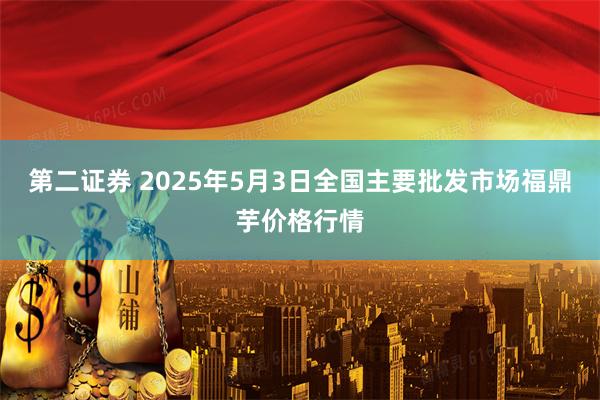 第二证券 2025年5月3日全国主要批发市场福鼎芋价格行情