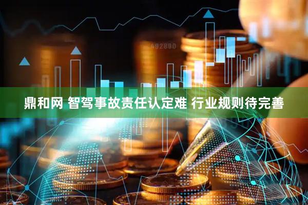 鼎和网 智驾事故责任认定难 行业规则待完善
