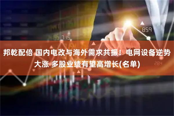 邦乾配倍 国内电改与海外需求共振！电网设备逆势大涨 多股业绩有望高增长(名单)